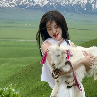 我为猪狂