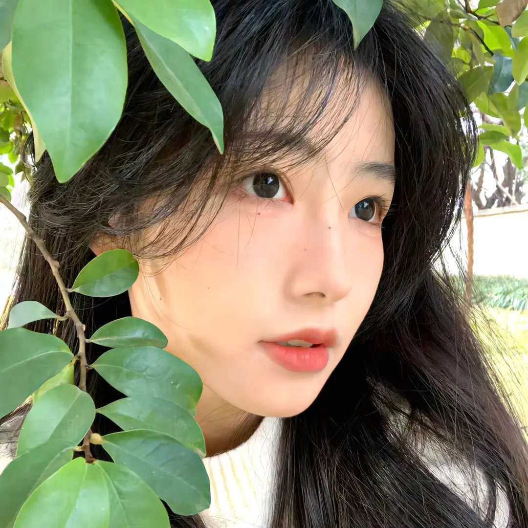 阿呆与阿瓜